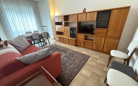 AMPIO BILOCALE CON TERRAZZO