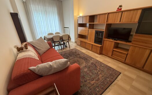 AMPIO BILOCALE CON TERRAZZO