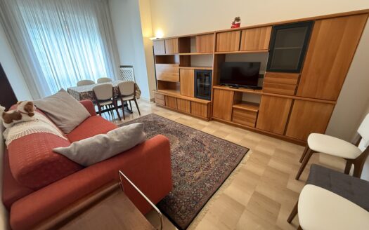 AMPIO BILOCALE CON TERRAZZO